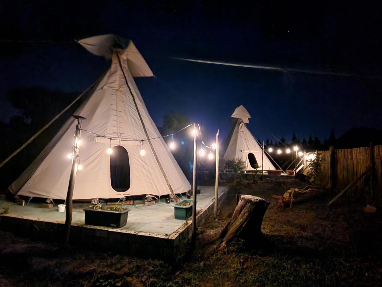 Tsitsikamma Wolf Sanctuary Eco Cabins & Teepees Stormsrivier Cameră foto