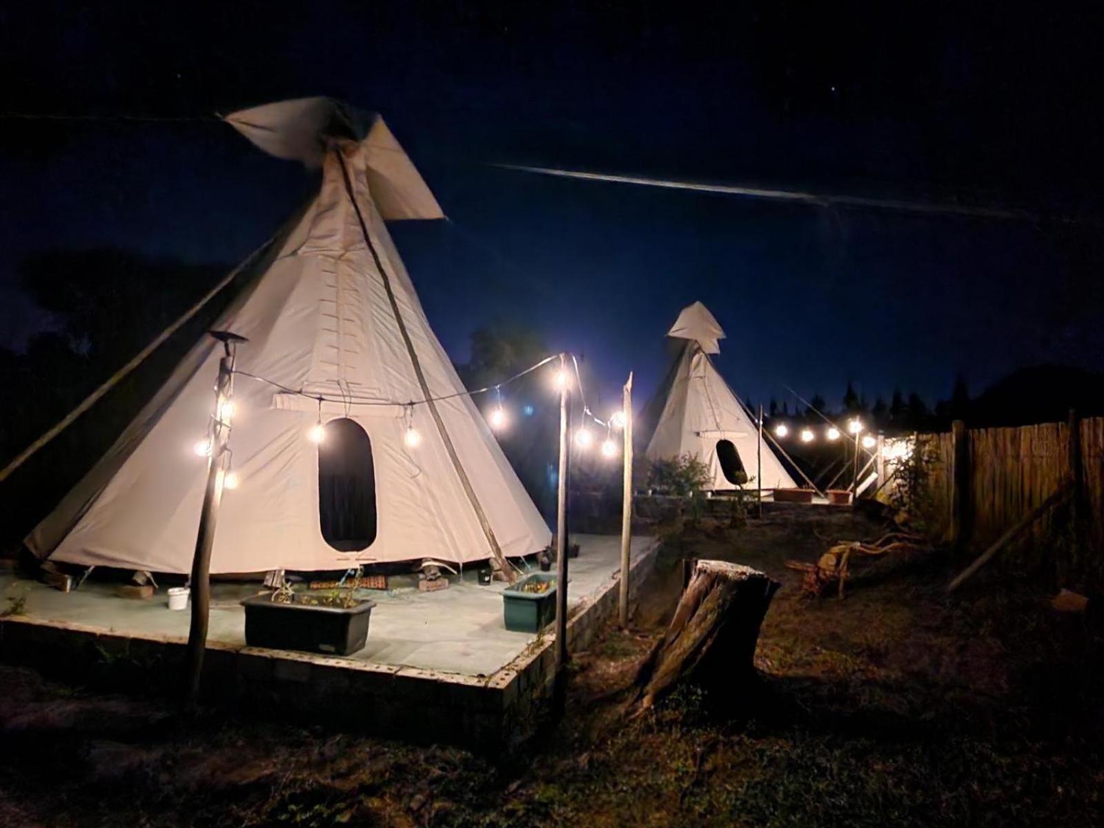 Tsitsikamma Wolf Sanctuary Eco Cabins & Teepees Stormsrivier Cameră foto