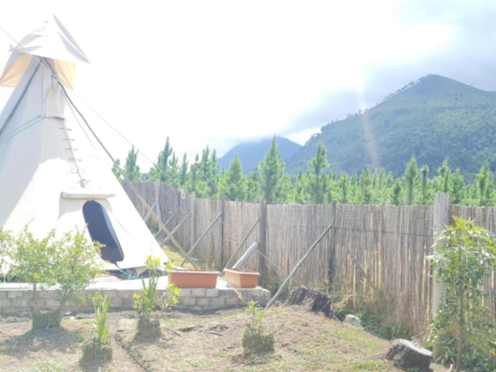 Tsitsikamma Wolf Sanctuary Eco Cabins & Teepees Stormsrivier Cameră foto