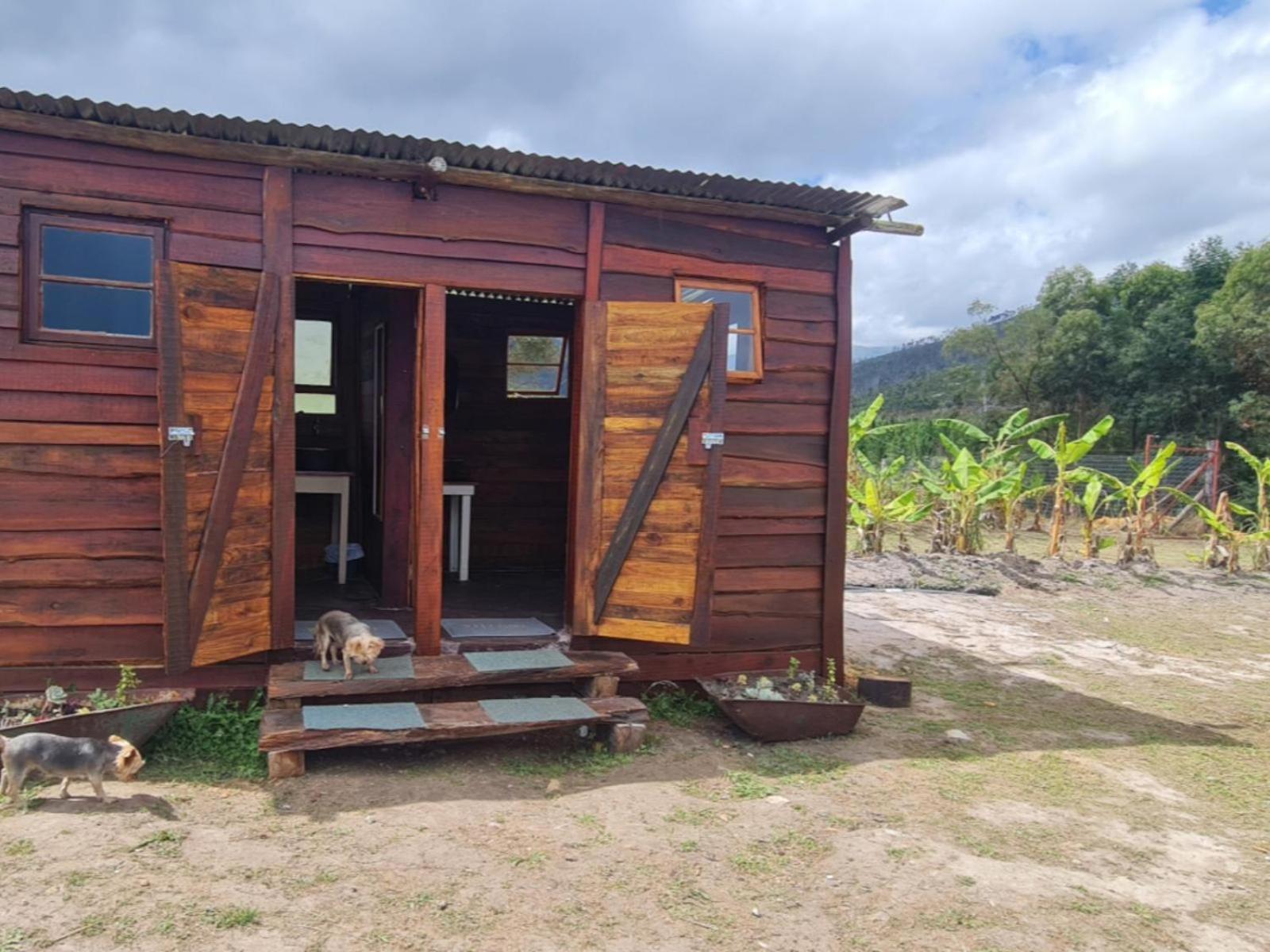 Tsitsikamma Wolf Sanctuary Eco Cabins & Teepees Stormsrivier Cameră foto