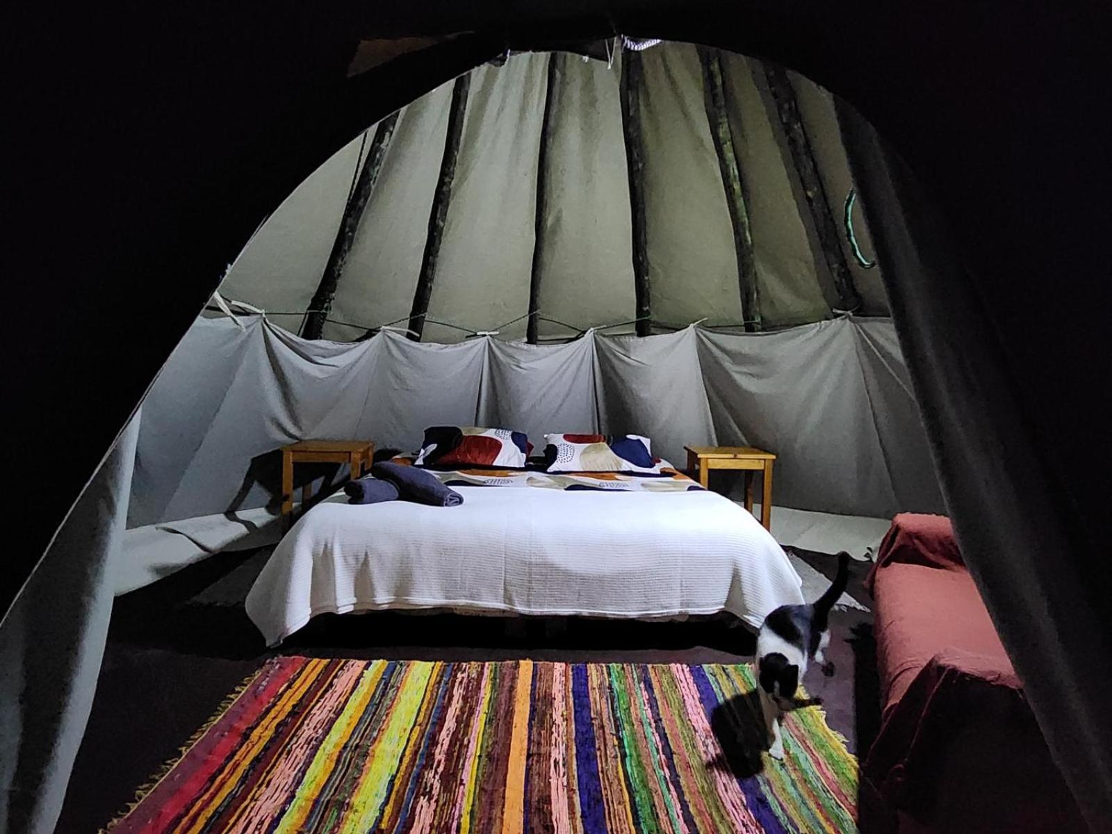 Tsitsikamma Wolf Sanctuary Eco Cabins & Teepees Stormsrivier Cameră foto